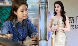 娱乐圈爆料明星故事,娱乐圈明星的秘闻轶事